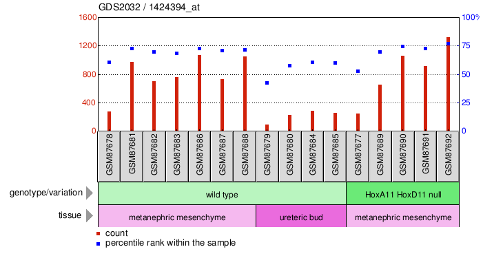 Gene Expression Profile