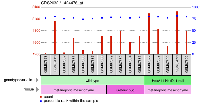 Gene Expression Profile