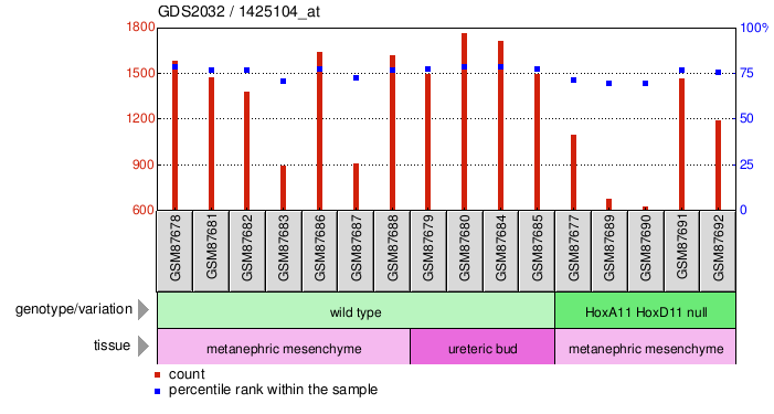 Gene Expression Profile