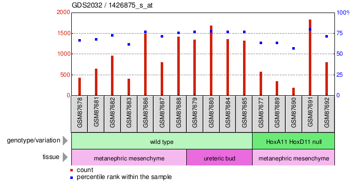 Gene Expression Profile