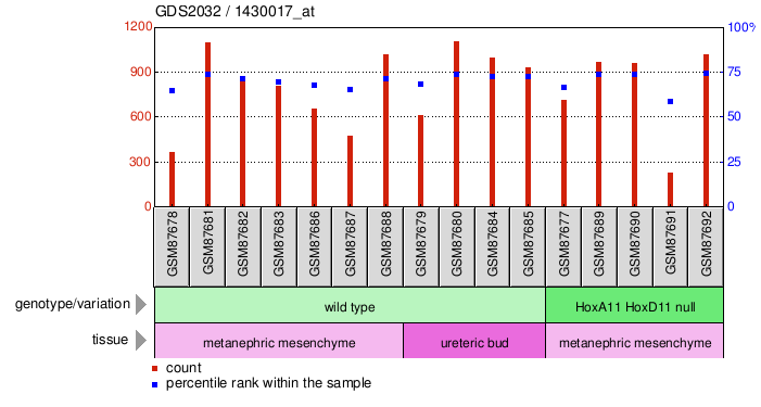 Gene Expression Profile