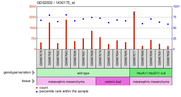 Gene Expression Profile