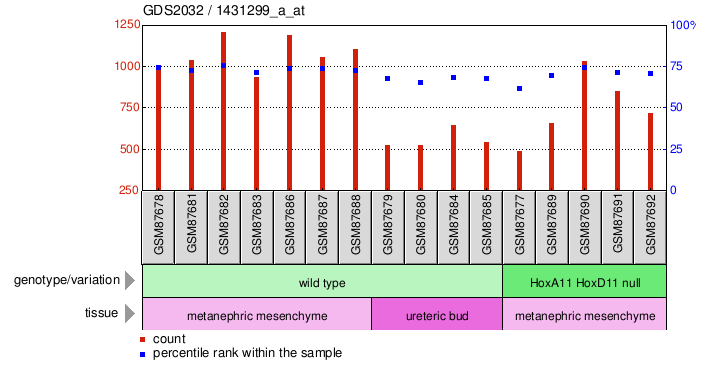 Gene Expression Profile