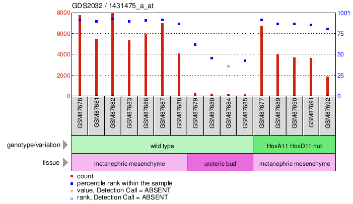 Gene Expression Profile