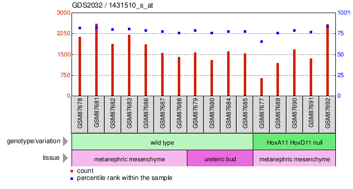 Gene Expression Profile