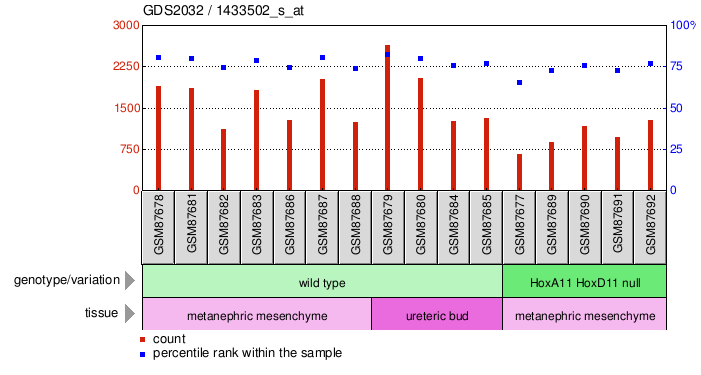 Gene Expression Profile