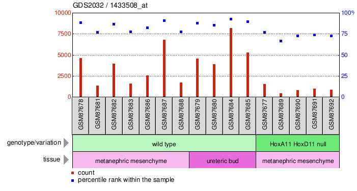 Gene Expression Profile