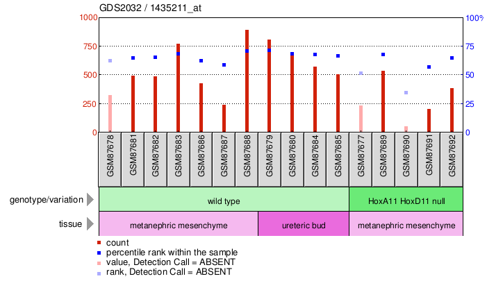 Gene Expression Profile