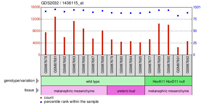 Gene Expression Profile