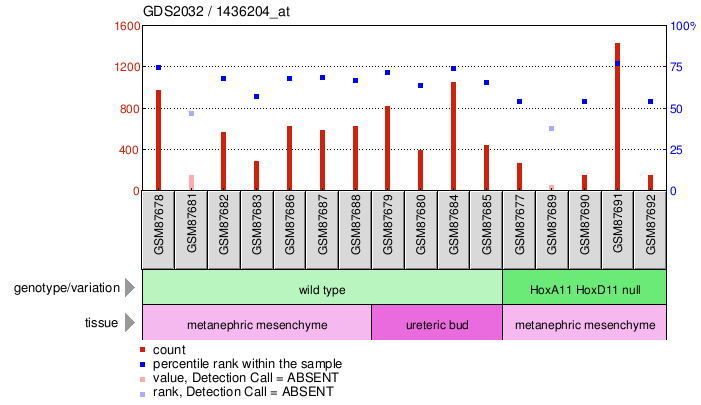 Gene Expression Profile