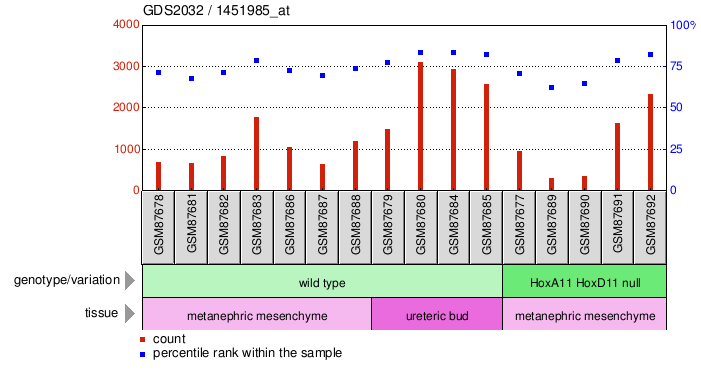 Gene Expression Profile