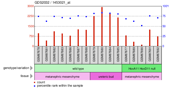 Gene Expression Profile