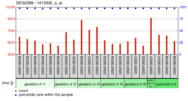 Gene Expression Profile