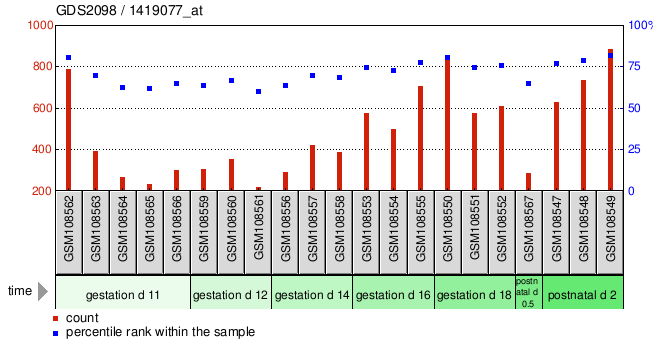 Gene Expression Profile