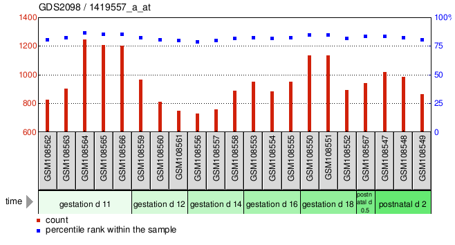 Gene Expression Profile