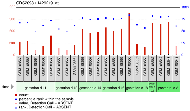 Gene Expression Profile