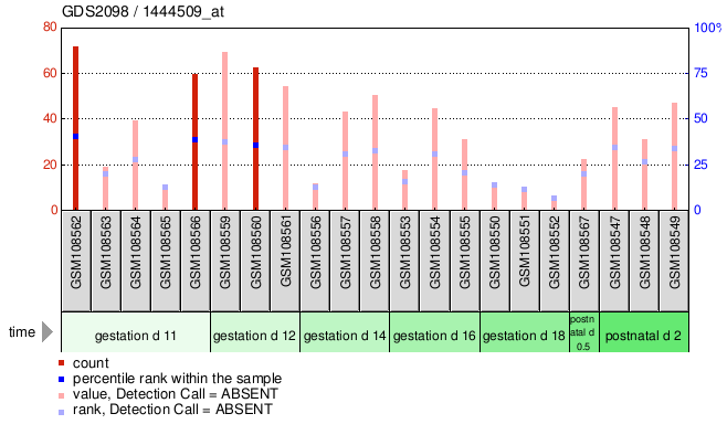 Gene Expression Profile