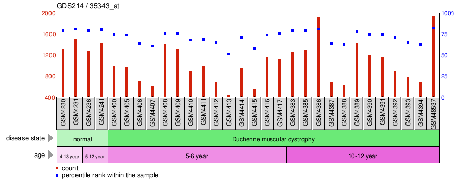 Gene Expression Profile