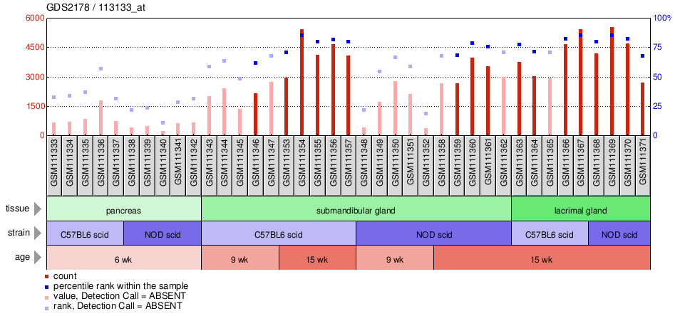 Gene Expression Profile