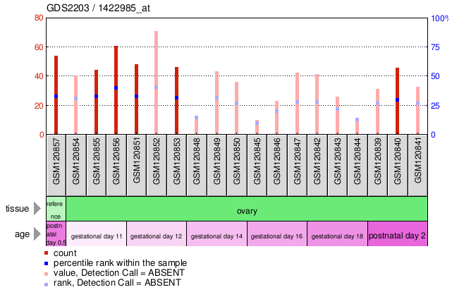 Gene Expression Profile