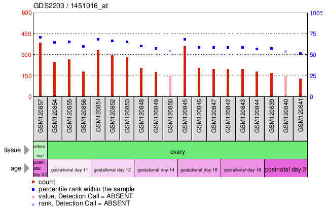 Gene Expression Profile