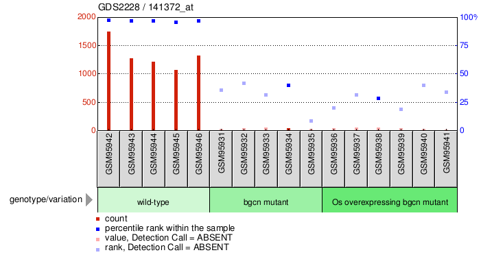 Gene Expression Profile