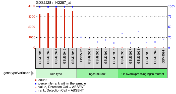 Gene Expression Profile