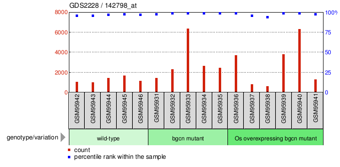 Gene Expression Profile