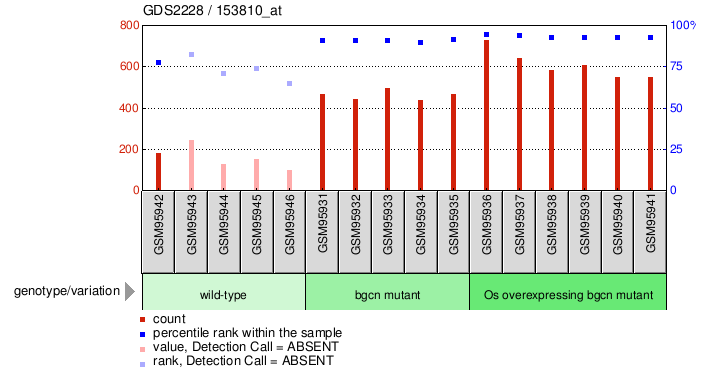 Gene Expression Profile