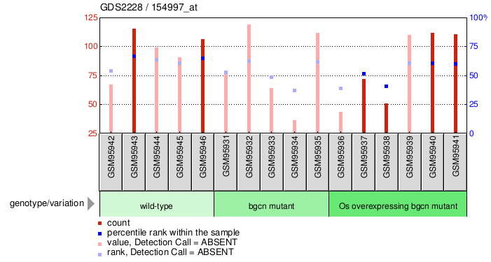 Gene Expression Profile