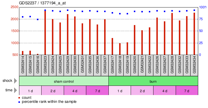 Gene Expression Profile