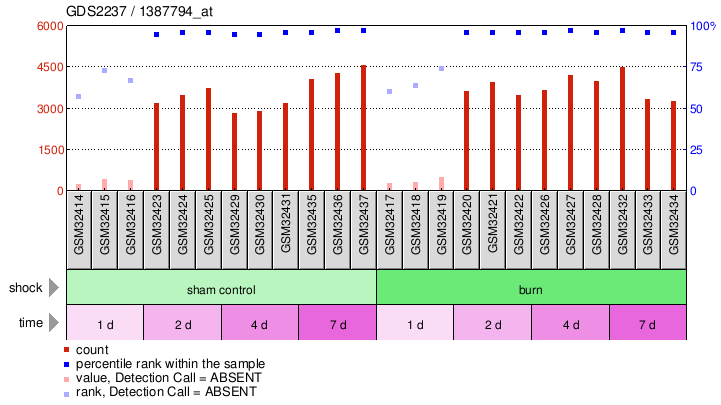 Gene Expression Profile