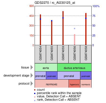 Gene Expression Profile