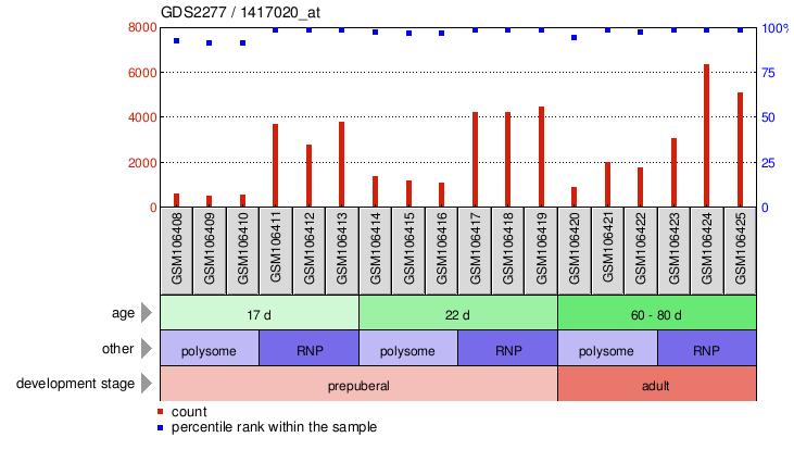 Gene Expression Profile