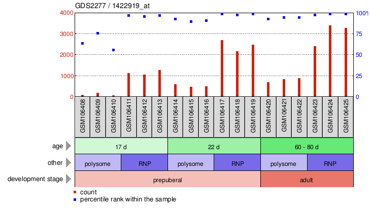 Gene Expression Profile