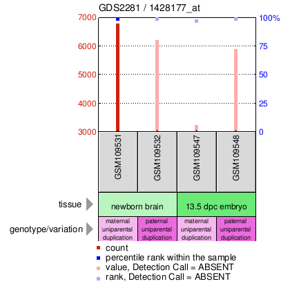 Gene Expression Profile