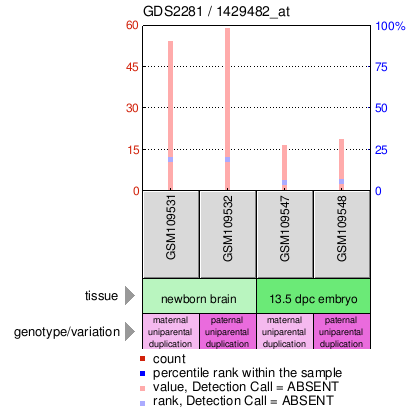 Gene Expression Profile