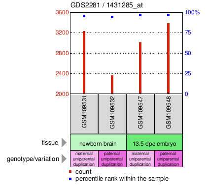 Gene Expression Profile