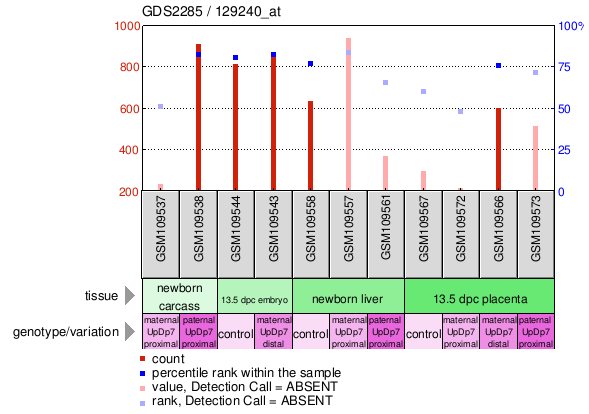 Gene Expression Profile