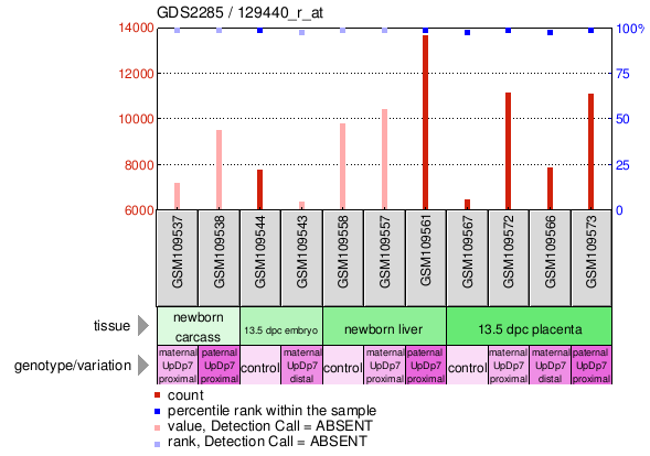 Gene Expression Profile