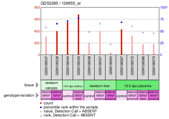 Gene Expression Profile