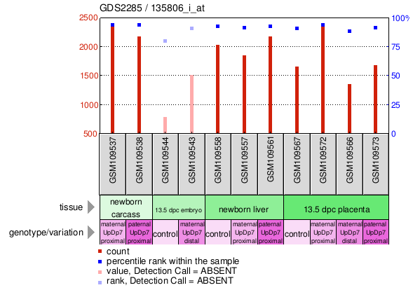 Gene Expression Profile