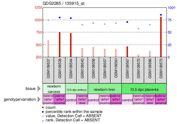 Gene Expression Profile