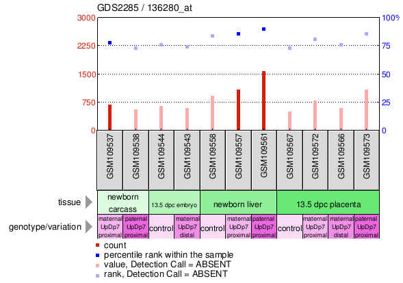 Gene Expression Profile