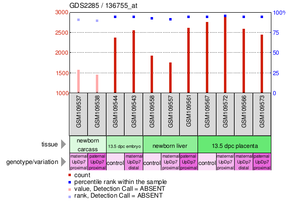 Gene Expression Profile