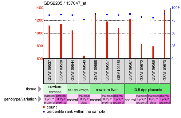 Gene Expression Profile