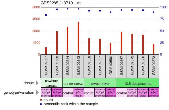 Gene Expression Profile