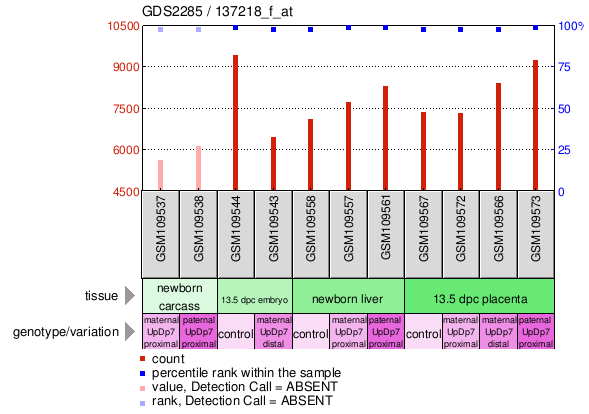 Gene Expression Profile