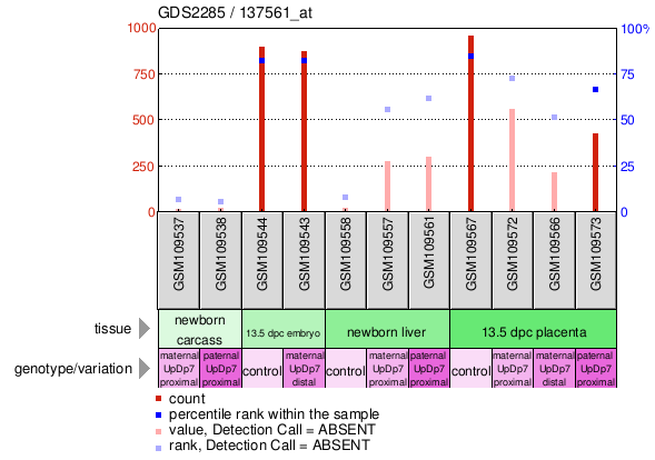 Gene Expression Profile