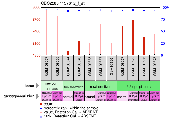 Gene Expression Profile